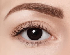 Clearcolor 1-Day Phantom Black Out -Pearl Brillen Winkel clearcolor FN101N black out